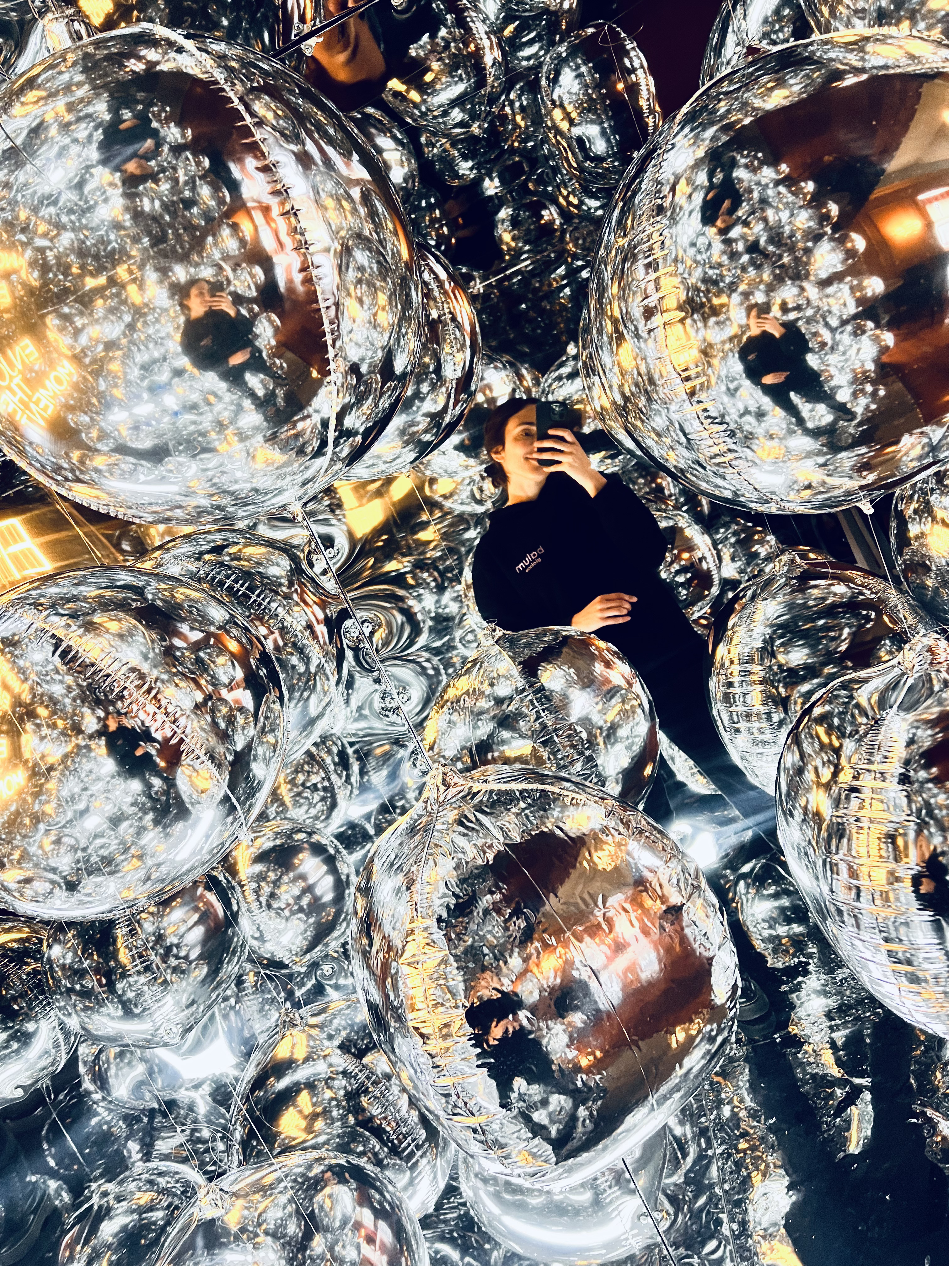 Imagen de galería 3